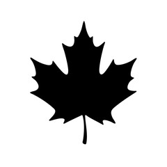 Vector illustration of a maple leaf.Autumn season icon.