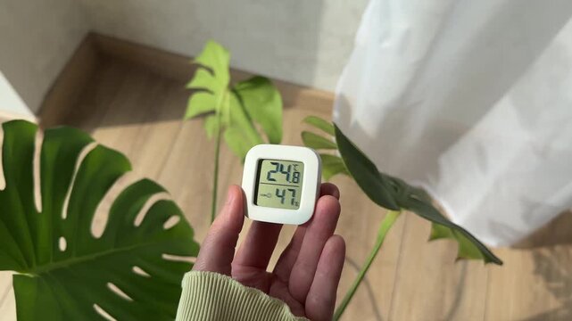 Woman holds small digital indoor temperature and humidity meter. Temperature sensor. Growing plants at home. Compact sensor