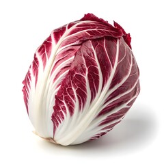 Obraz premium Early Chioggia Radicchio Compact Italian Chicory with Round Burgundy Leaves and Crisp White Veins on Bright White Background for Gourmet Botanical Beauty and Culinary Tradition