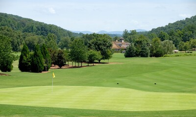 Fototapeta premium golf course green