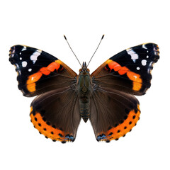Naklejka premium Colorful red admiral butterfly with spread wings on transparent background