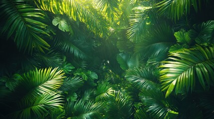 Golden Sunbeams Pierce the Lush, Verdant Canopy of a Mysterious Tropical Jungle.