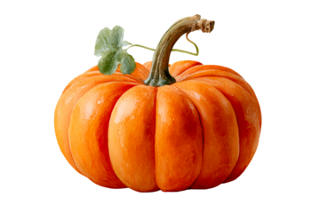Bright orange pumpkin with green stem and leaf
