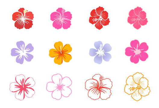 Hibiscus Icon Images – Browse 104,418 Stock Photos, Vectors, and