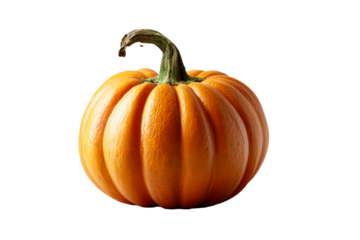 Bright orange pumpkin with a green stem