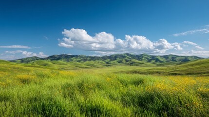 Obraz premium Rolling green hills wildflowers and a blue sky with fluffy clouds landscape