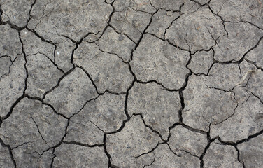 Cracked earth texture, drought and arid landscape