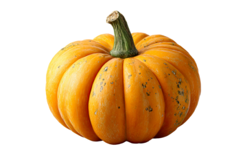 Bright orange pumpkin with green stem on display
