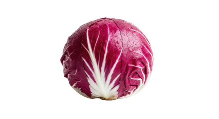 Fototapeta premium Radicchio Head Isolated, Fresh Vegetable with Vibrant Red and White Texture