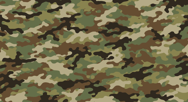 U.S. Army OCP (Operational Camouflage Pattern) | Scorpion W2 Camo Texture
OCP Scorpion W2 Vector Print | U.S. Army Camouflage