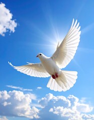Una oraci&oacute;n por la paz: una paloma blanca volando en un cielo azul.