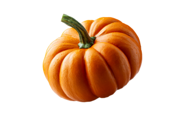 Bright orange pumpkin with green stem on display