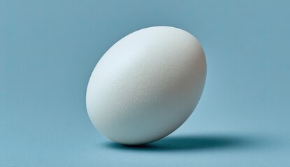 A single white egg on a light teal background