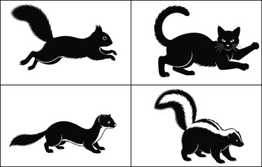 Silhouette of squirrel, cat, ferret, skunk, animal poses, wildlife vector, black and white, nature illustration, mammal design, Adobe Stock