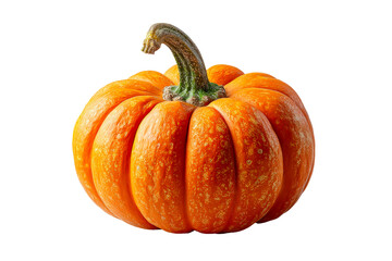 Bright orange pumpkin ready for fall decorations