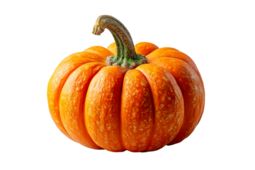 Bright orange pumpkin ready for fall decorations