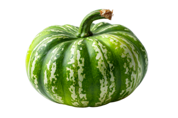 Spotted green pumpkin with unique striped pattern