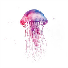 jellyfish in the water