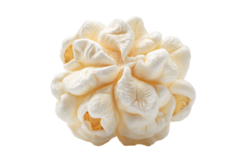 Close up macro shot of a single fluffy white popcorn kernel against a stark black background