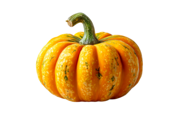 Colorful pumpkin with unique ridges