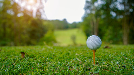 Golf ball on tee in a beautiful golf course with morning sunshine.