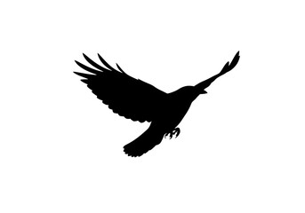 Black vector silhouette of a wild eagle in flight with outstretched wings on a white background