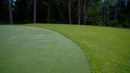 Fototapeta premium Green grass background, top view background of garden bright grass concept.