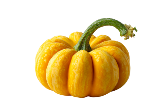Bright yellow squash with unique shape and texture