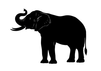 A single elephant, a large gray mammal with a long trunk, is isolated on a clean white background