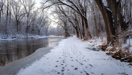 Winter wonderland riverside path.  Snowy trees and a frozen river