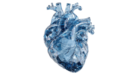 A crystal clear blue heart amazing 3d render of anatomy on white background