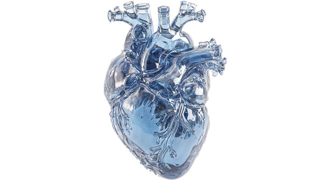A crystal clear blue heart amazing 3d render of anatomy on white background