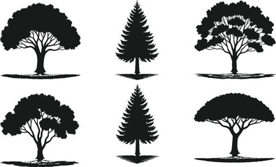 Fototapeta premium Six diverse black tree silhouettes with varied shapes, branching patterns, and shadows, isolated vector design for botanical, educational, and creative projects