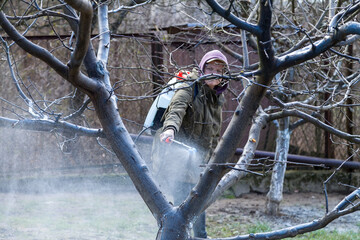 A woman works in the spring garden and spray with a rechargeable sprayer chemicals against pests