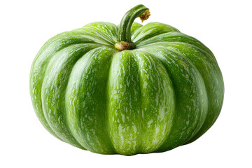 Fresh green pumpkin with unique striped pattern