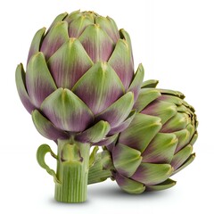 Fototapeta premium Two fresh artichoke bulbs with stems and layered green purple leaves isolated, Mediterranean vegetable for healthy cooking