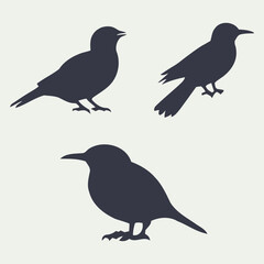 Set of small birds silhouettes vector illustration.