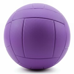 Purple synthetic leather volleyball rear view showing curved panel construction and stitching pattern on white background