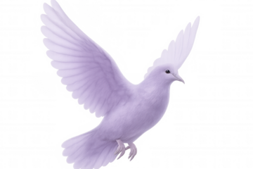 Purple dove soaring gracefully with outstretched wings, isolated on a transparent background, symbolizing peace, spirituality, or freedom