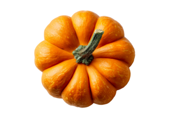 Bright orange pumpkin with a green stem on white