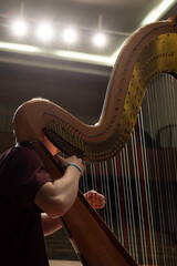 musician playing the harp