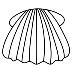  shell