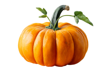 Bright orange pumpkin with green stem and leaves