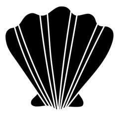  shell
