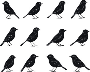 Collection of songbirds in various positions, drawn with thin black vector outlines only, no fill, minimalist and elegant line art