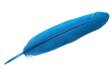 Bright blue feather isolated on a transparent background