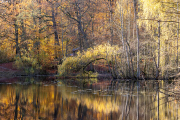 Obraz premium A beautiful autumn day with a lake in the background