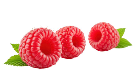 Isolated Three Raspberries