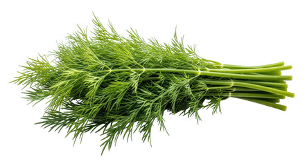 Isolated Dill