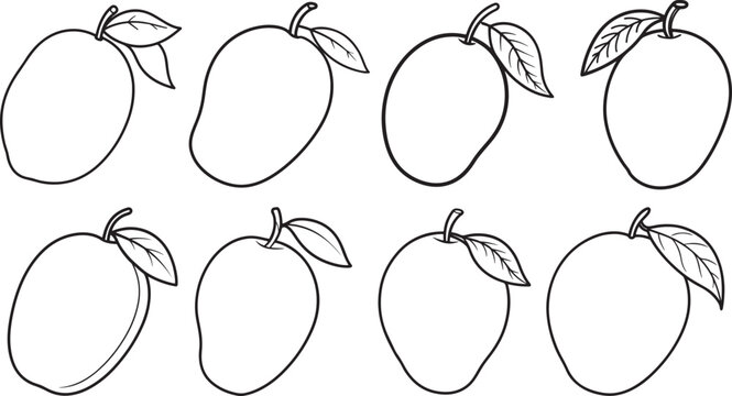 set of mango line art, coloring book page line art drawing, vector and illustration